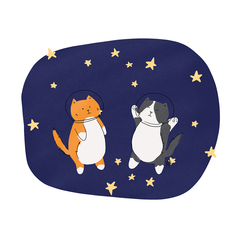 space cats